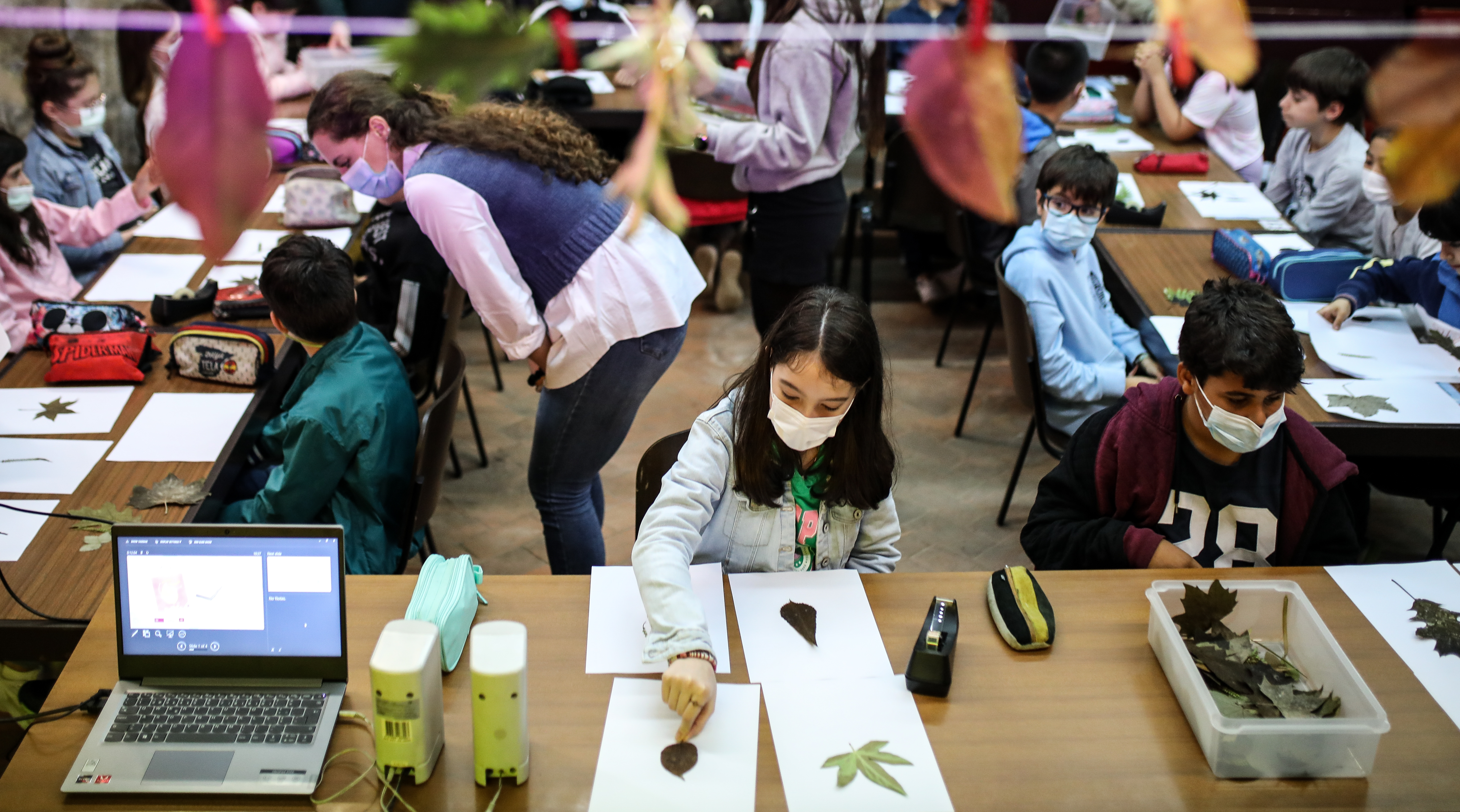 Thumbnail da galeria Dia Internacional das Plantas